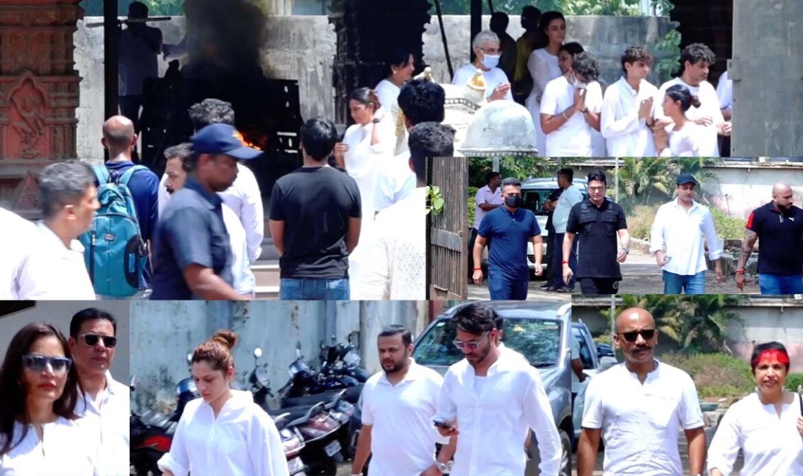 Mukesh Chhabra mother video: Hansal Mehta, Bhushan Kumar, Ankita, Atul, Manish & many others reached | Shudh Manoranjan